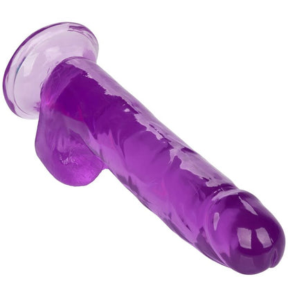 CALEXOTICS - DILDO REGINA TAGLIA VIOLA 20.3 CM