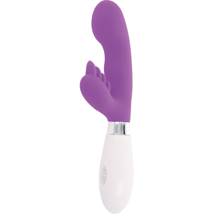 GLOSSY - CONIGLIO ELVIS VIOLA