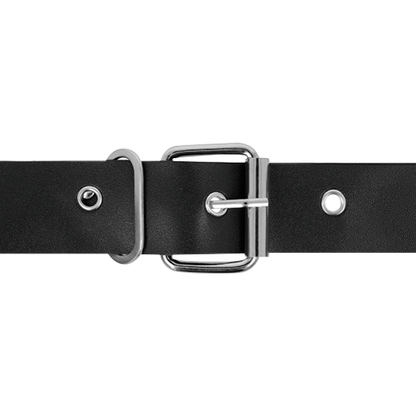 HARNESS ATTRACTION - RNES TAYLOR DELUXE 18 CM -O- 4.5 CM